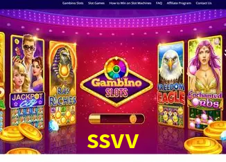 ssvv Rio de Janeiro - Bonus Terms